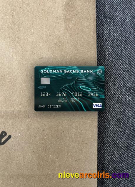 USA Goldman Sachs Bank visa card photolook